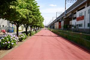 経路15
