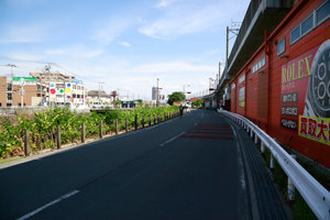 経路19